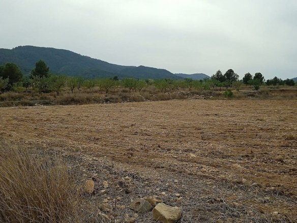 24,047 m² Land in Monovar - Caza De Casa
