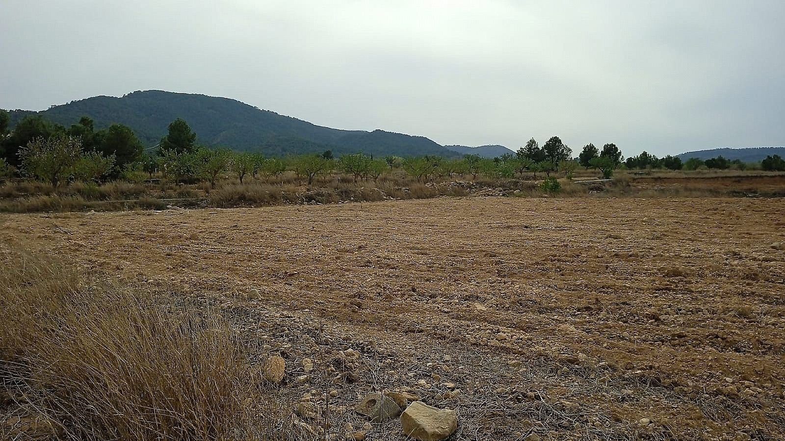 24,047 m² Land in Monovar - Caza De Casa