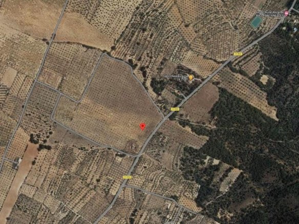 25,000 m² Land in Biar - Caza De Casa