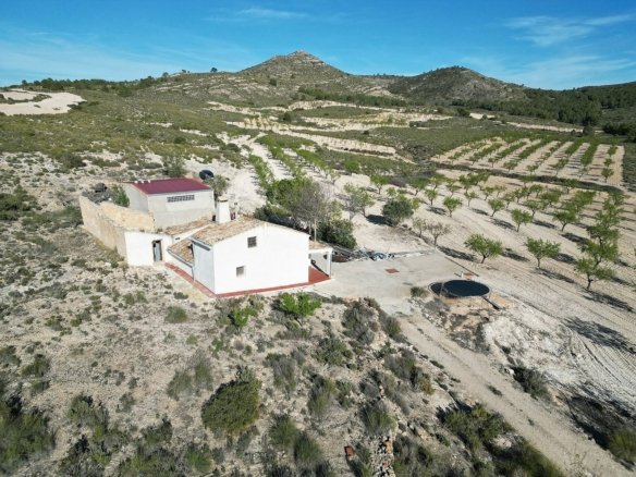 5 Bedroom 1 Bathroom Country house in Caudete - Caza De Casa
