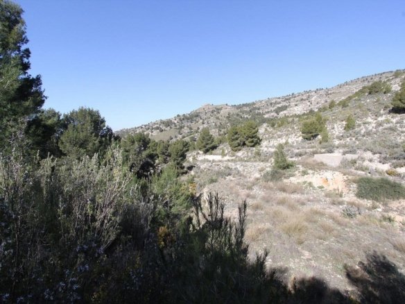 3 Bedroom 2 Bathroom Detached Villa in Petrer - Caza De Casa