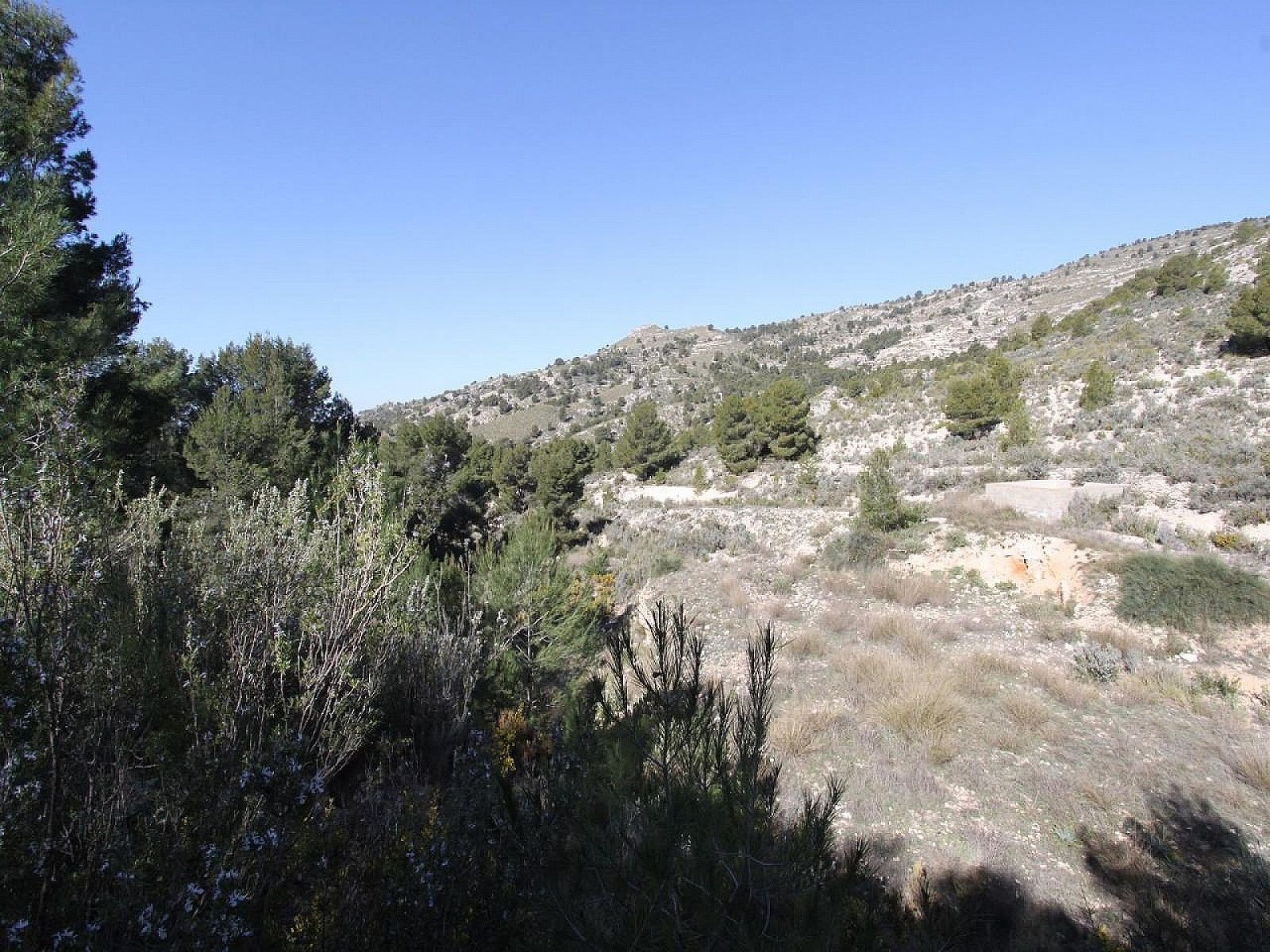 3 Bedroom 2 Bathroom Detached Villa in Petrer - Caza De Casa