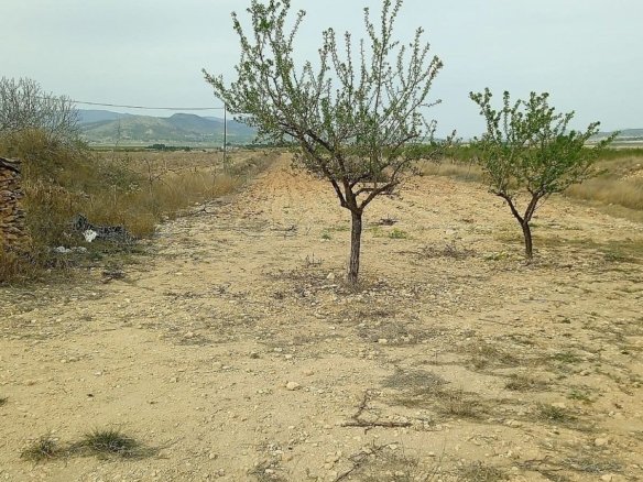 15,128 m² Land in Monovar - Caza De Casa