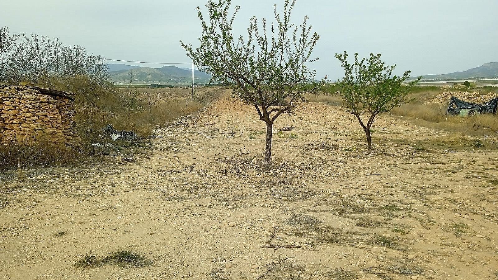 15,128 m² Land in Monovar - Caza De Casa