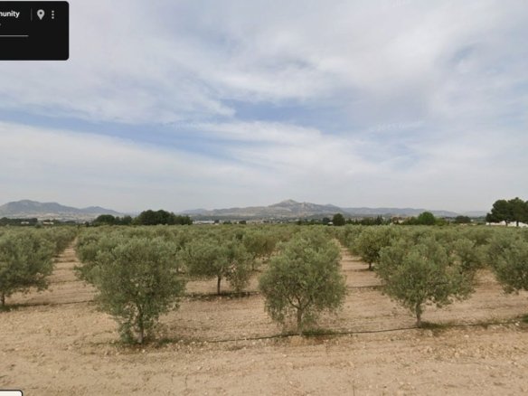 Land in Sax - Caza De Casa