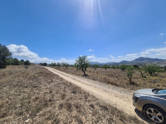 16,200 m² Land in Sax - Caza De Casa