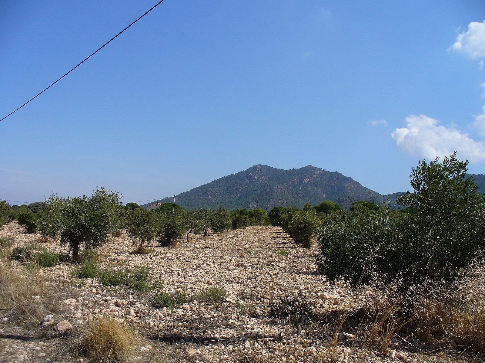 25,000 m² Land in Biar - Caza De Casa