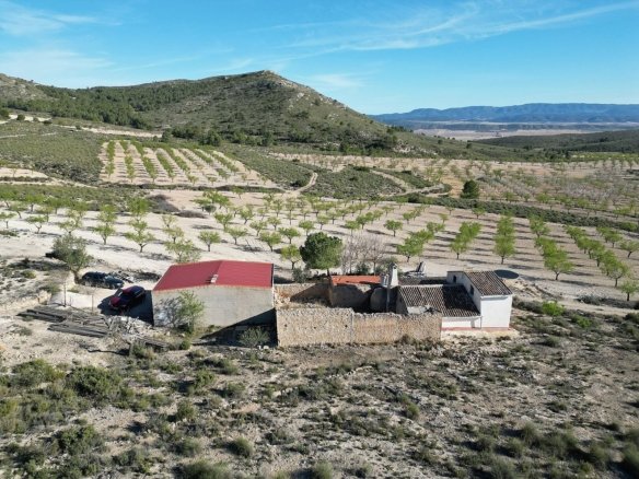 5 Bedroom 1 Bathroom Country house in Caudete - Caza De Casa