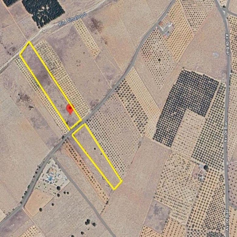 20,257 m² Land in Biar - Caza De Casa