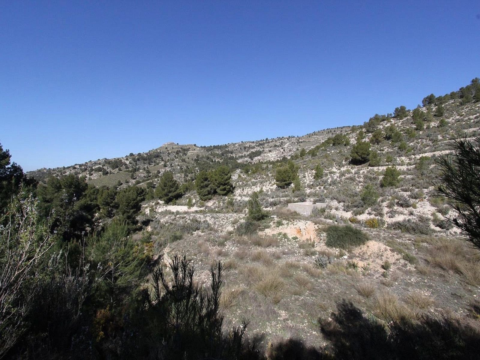 3 Bedroom 2 Bathroom Detached Villa in Petrer - Caza De Casa