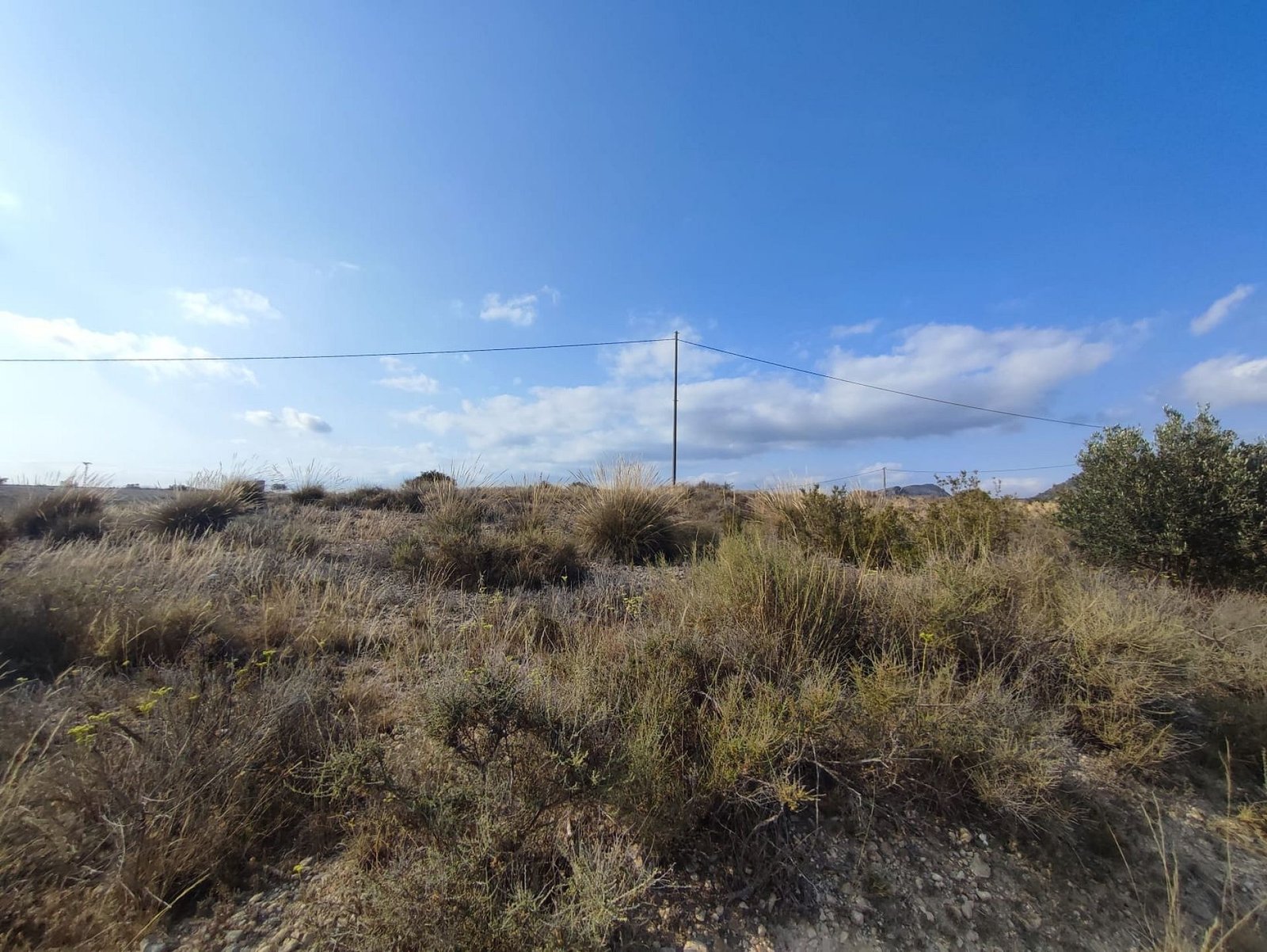 15,309 m² Land in Sax - Caza De Casa