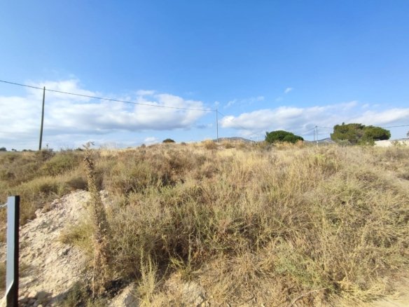 15,309 m² Land in Sax - Caza De Casa