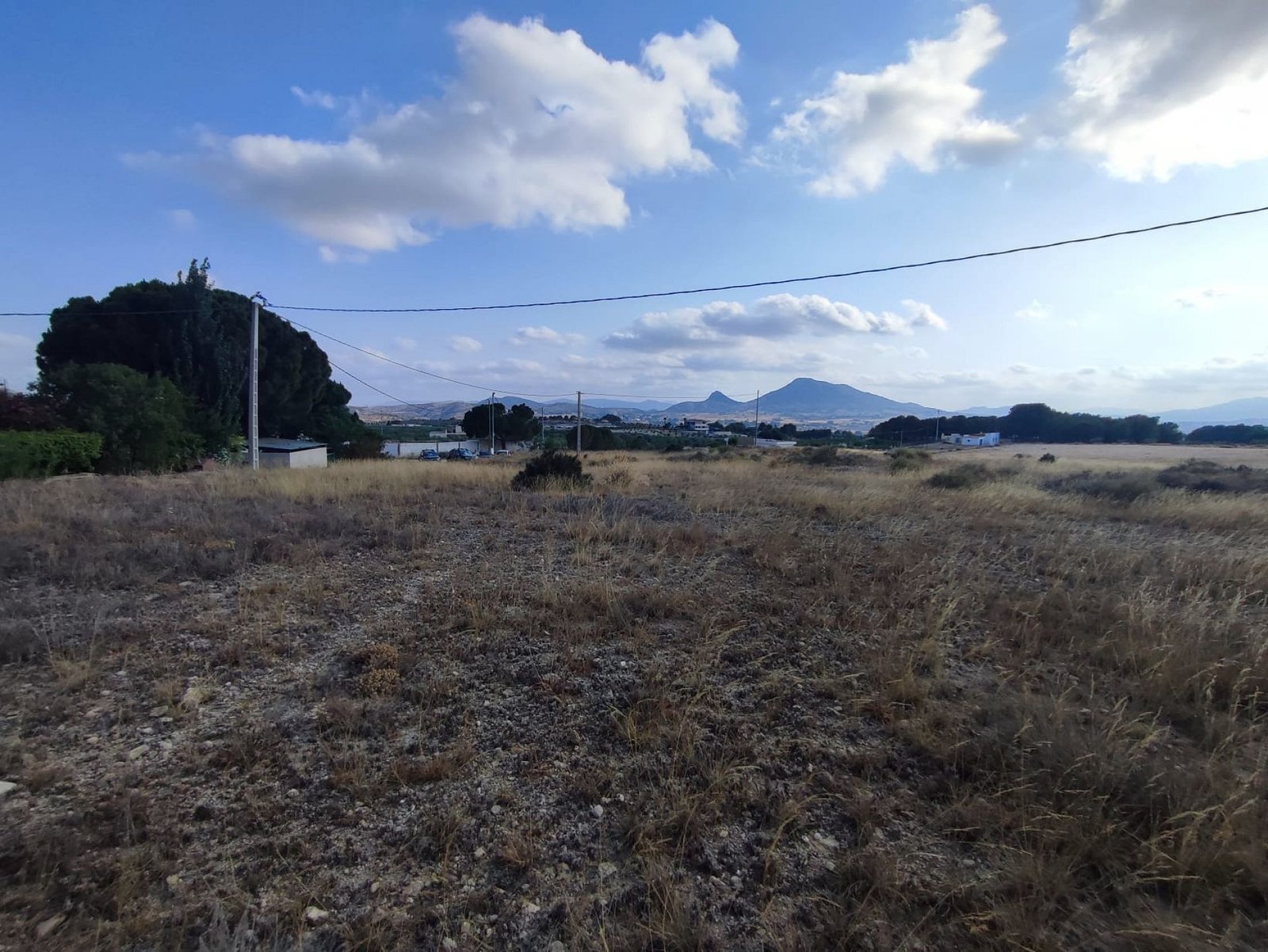 15,309 m² Land in Sax - Caza De Casa