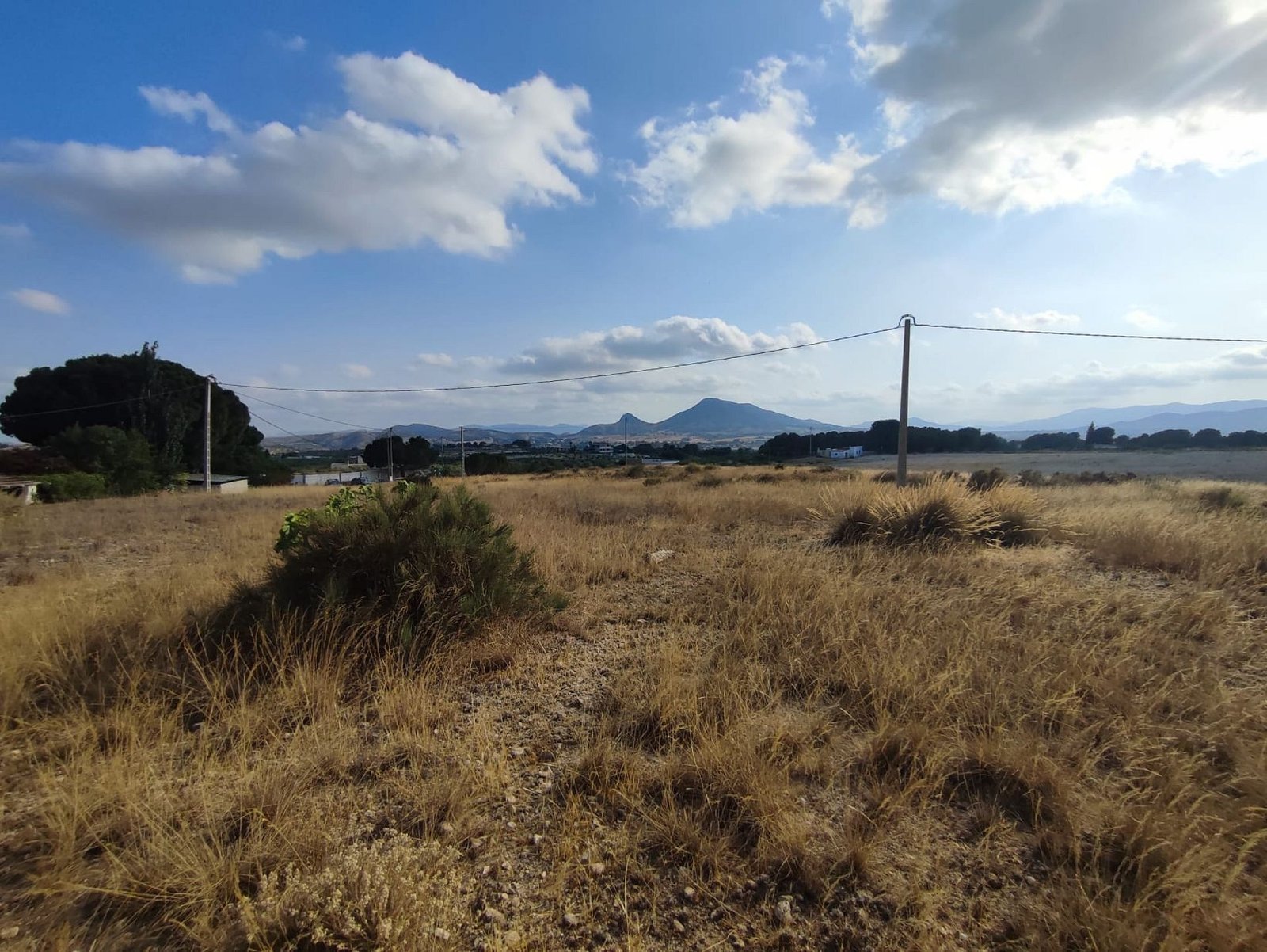 15,309 m² Land in Sax - Caza De Casa