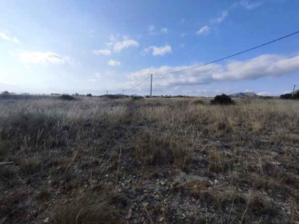15,309 m² Land in Sax - Caza De Casa