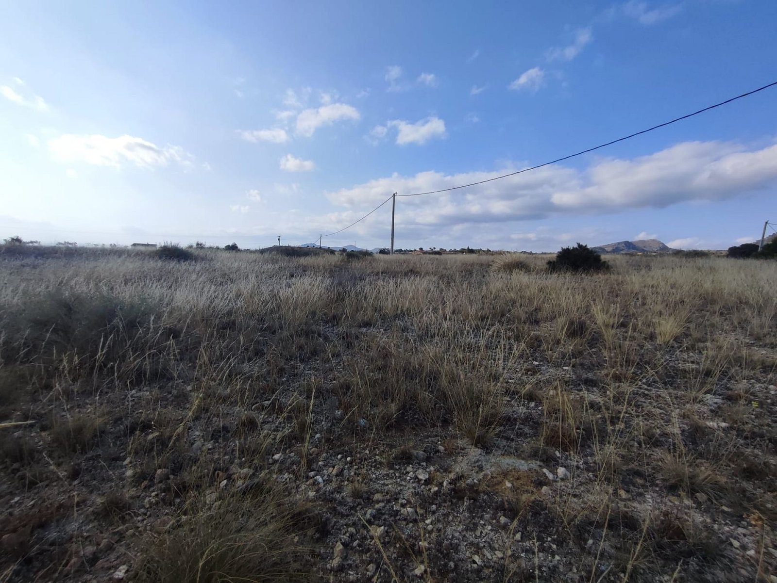 15,309 m² Land in Sax - Caza De Casa