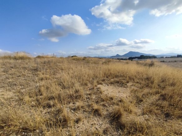 15,309 m² Land in Sax - Caza De Casa