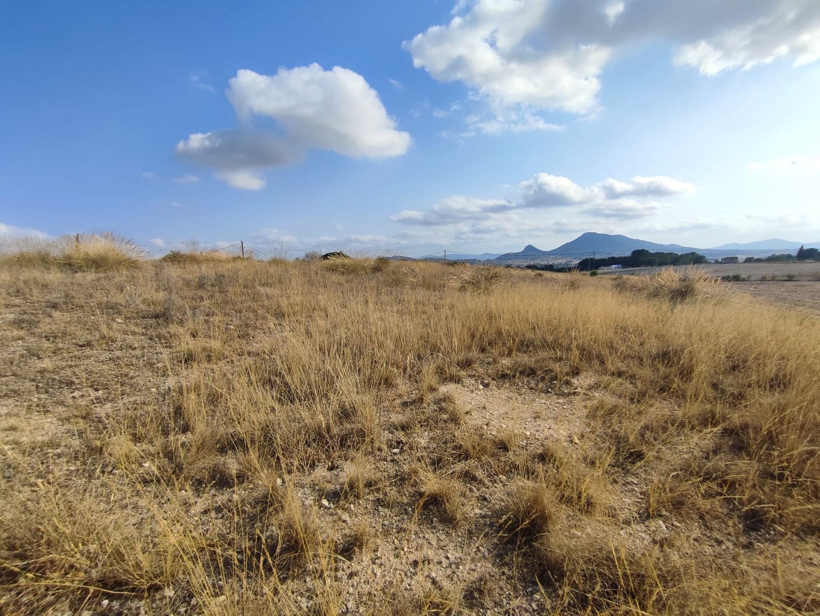 15,309 m² Land in Sax - Caza De Casa