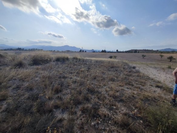 15,309 m² Land in Sax - Caza De Casa