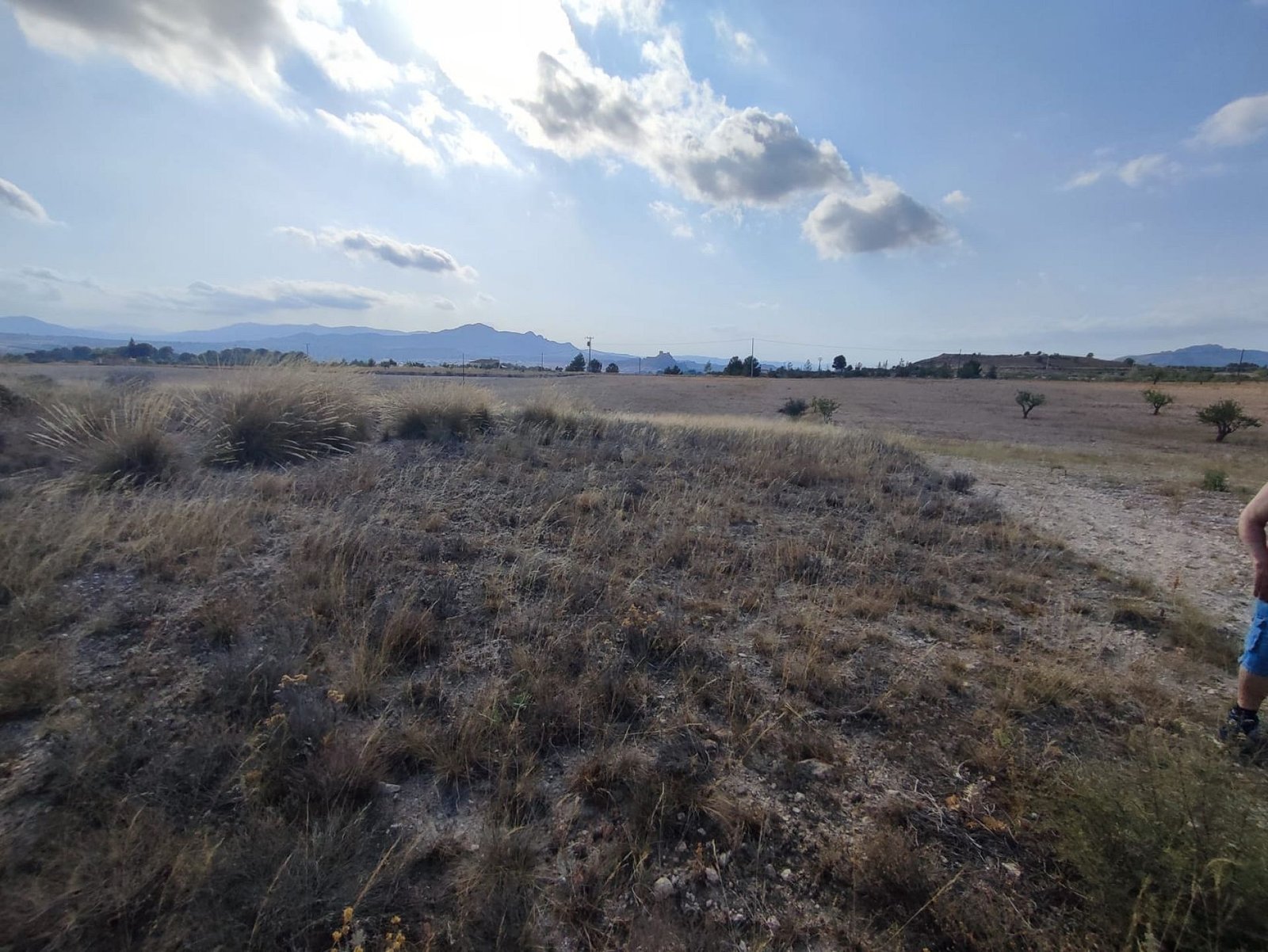 15,309 m² Land in Sax - Caza De Casa