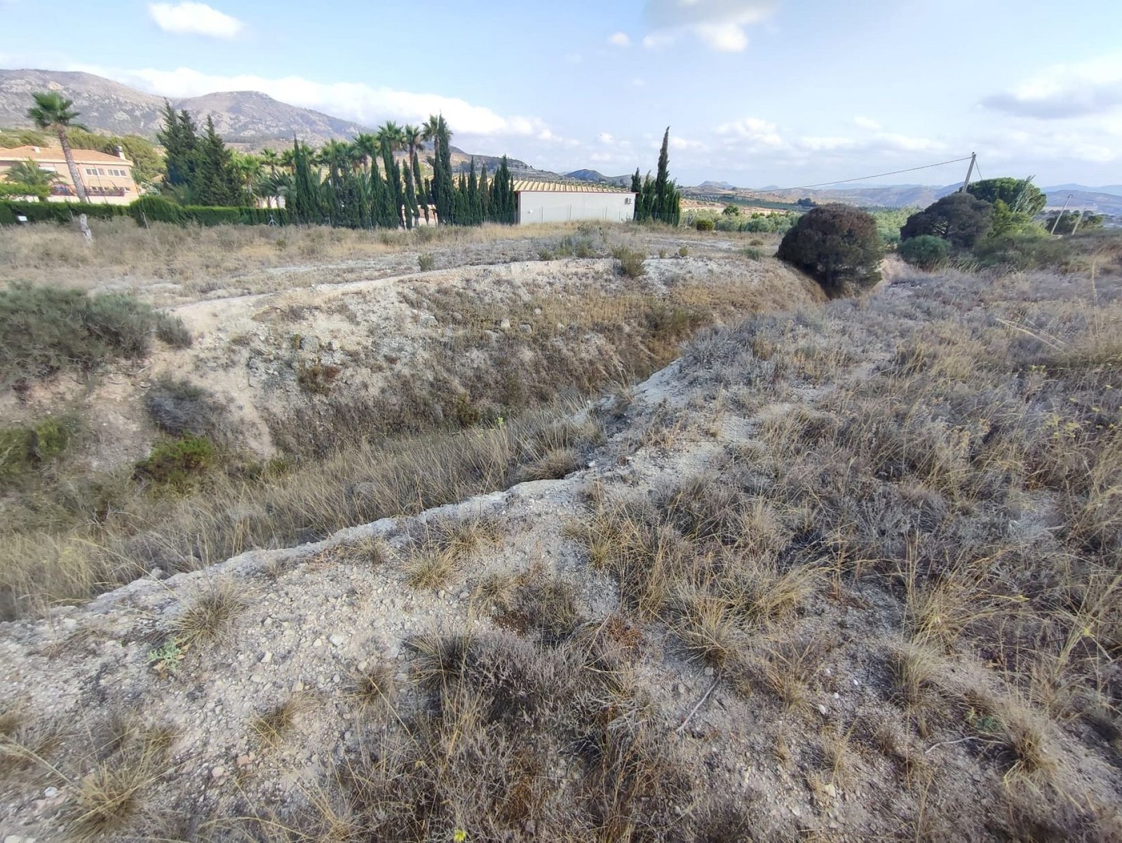 15,309 m² Land in Sax - Caza De Casa
