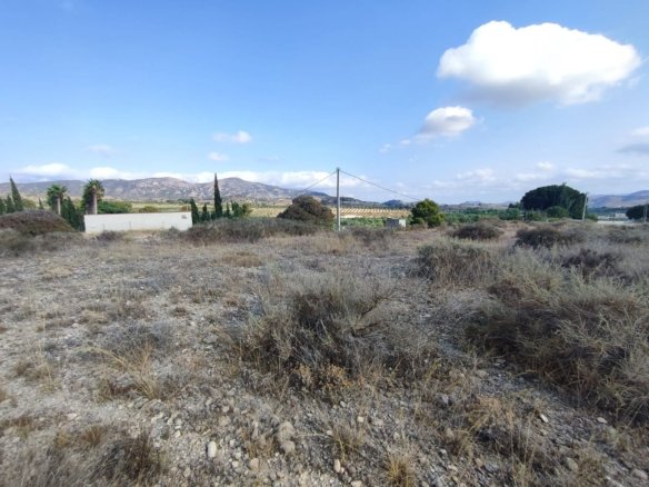 15,309 m² Land in Sax - Caza De Casa