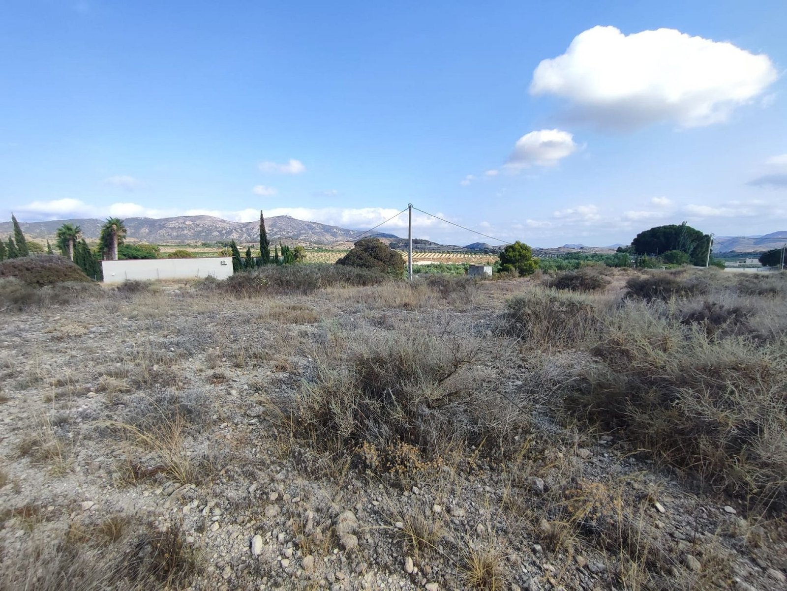 15,309 m² Land in Sax - Caza De Casa