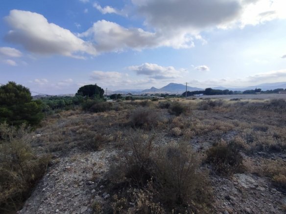 15,309 m² Land in Sax - Caza De Casa