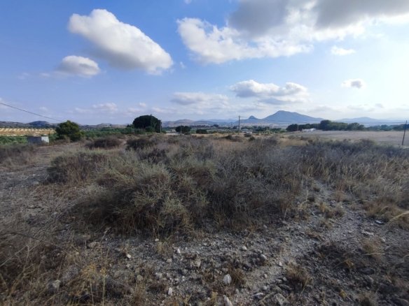 15,309 m² Land in Sax - Caza De Casa