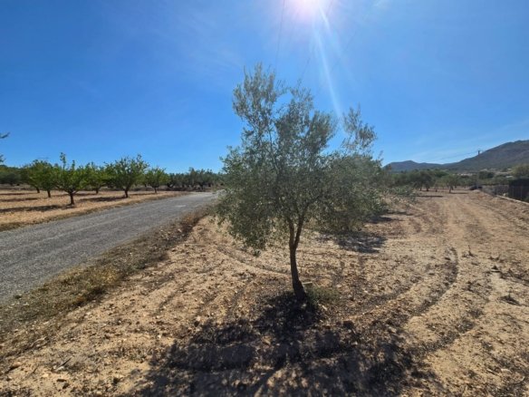 Land in Salinas - Caza De Casa