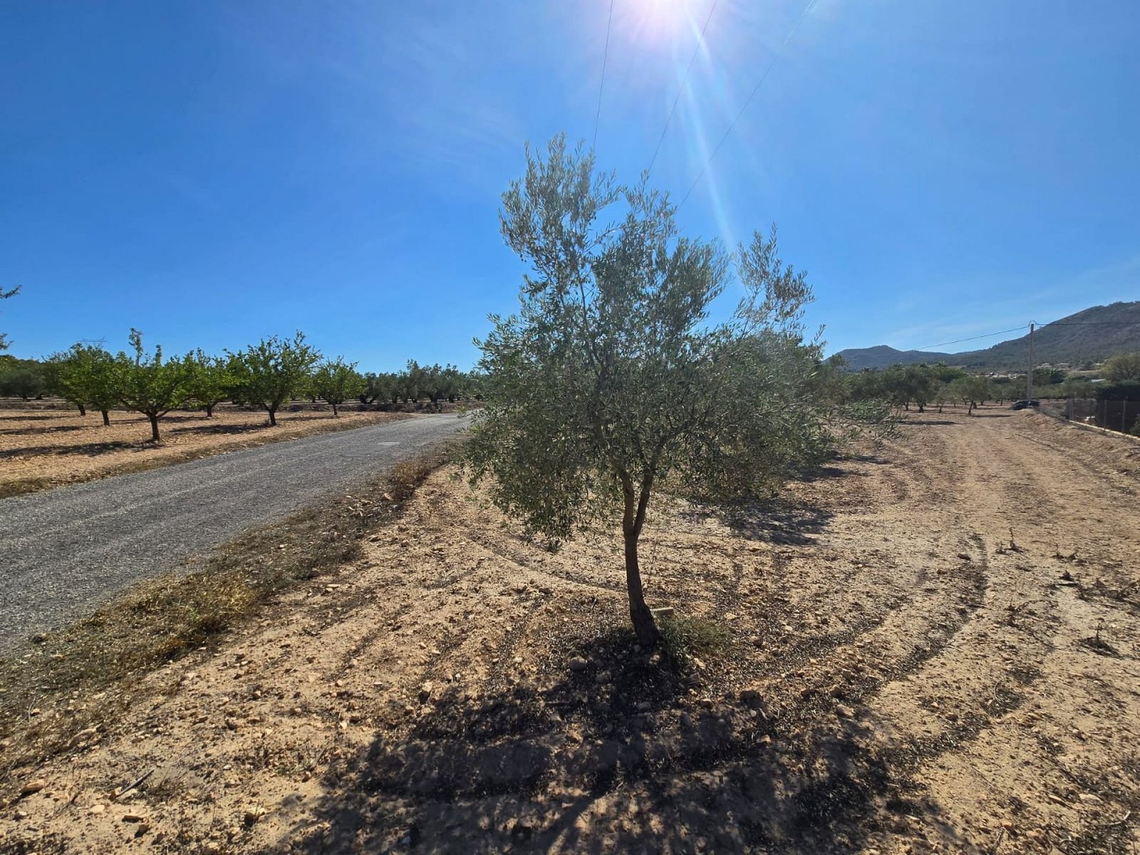 Land in Salinas - Caza De Casa