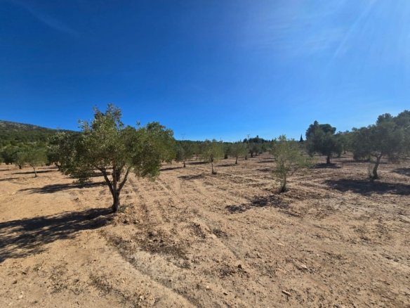 Land in Salinas - Caza De Casa