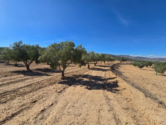 Land in Salinas - Caza De Casa