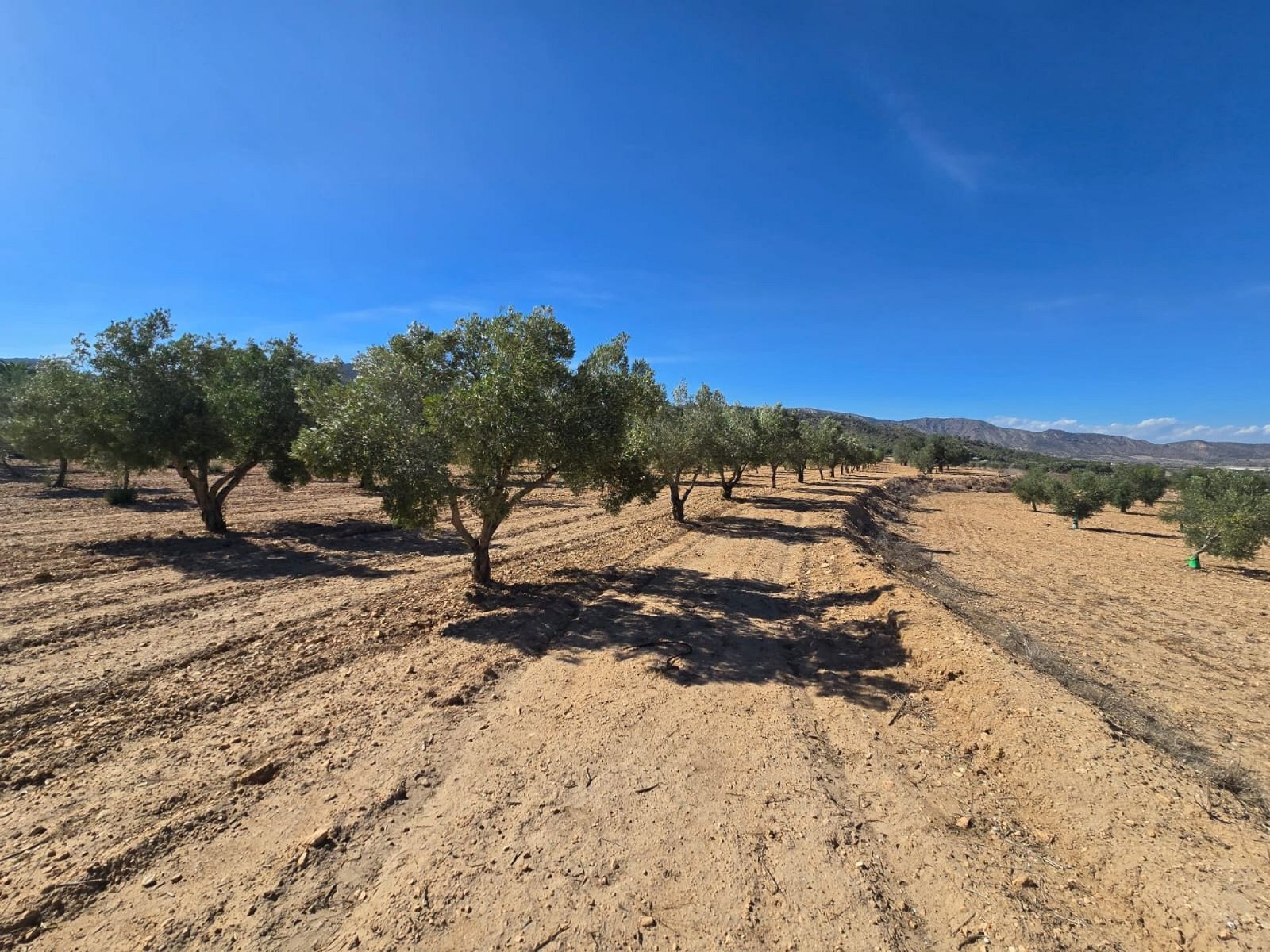 Land in Salinas - Caza De Casa
