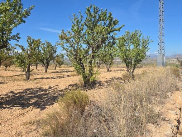 Land in Salinas - Caza De Casa