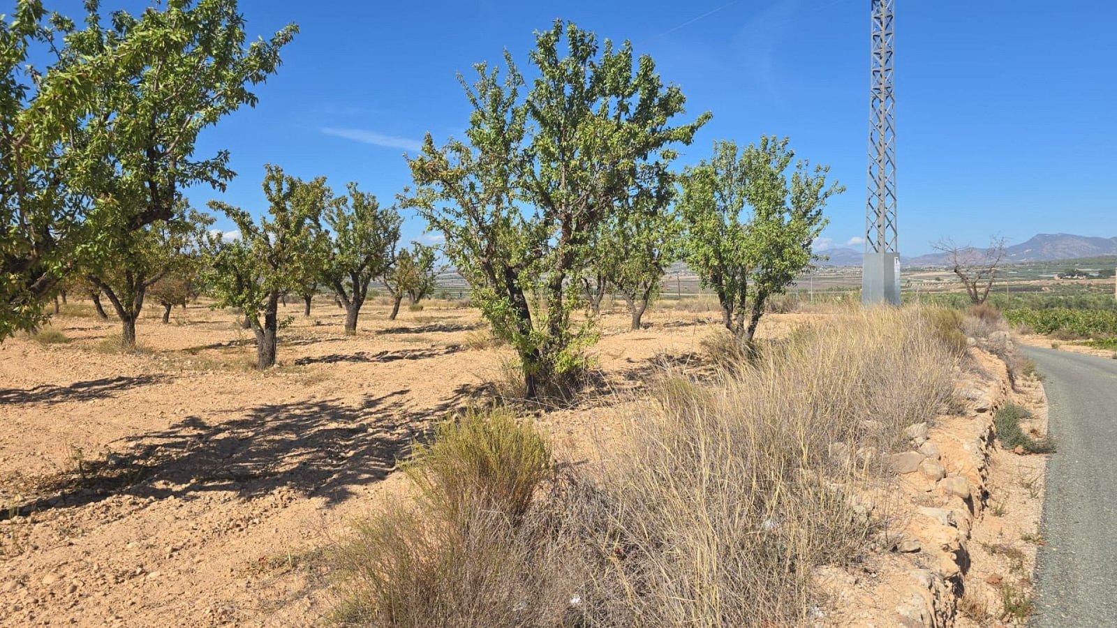 Land in Salinas - Caza De Casa