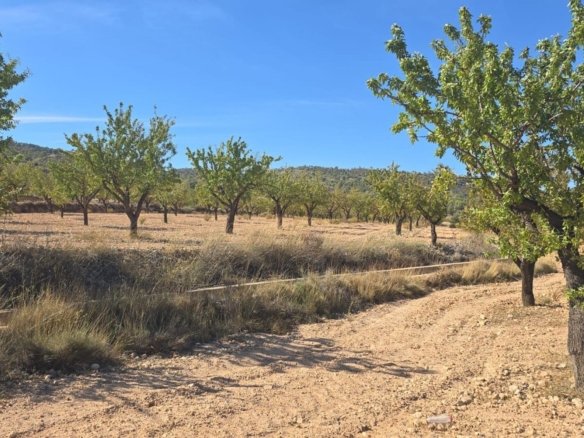 Land in Salinas - Caza De Casa