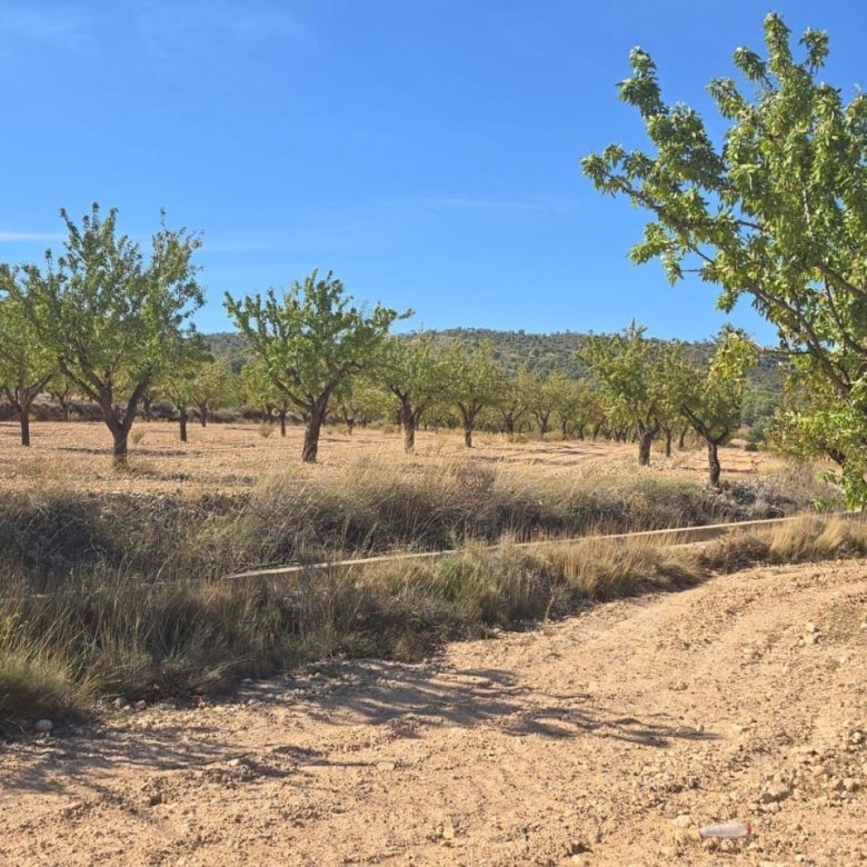 Land in Salinas - Caza De Casa