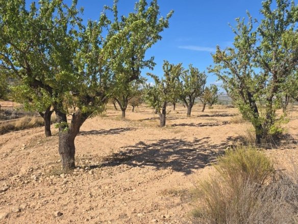 Land in Salinas - Caza De Casa