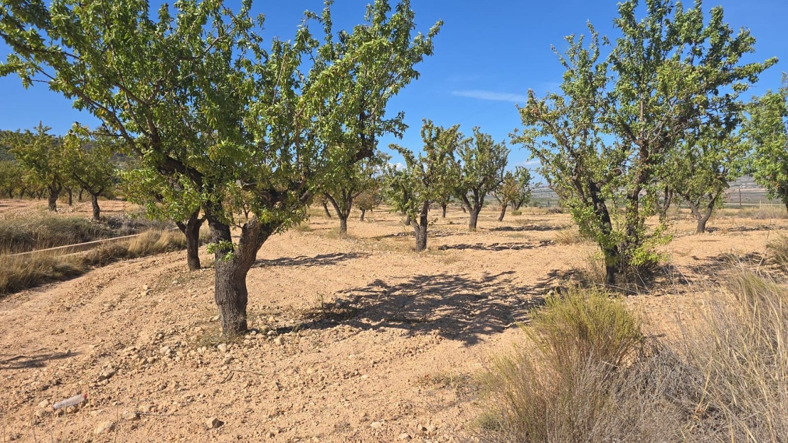 Land in Salinas - Caza De Casa