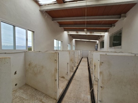 4 Bedroom 4 Bathroom Country house in Salinas - Caza De Casa