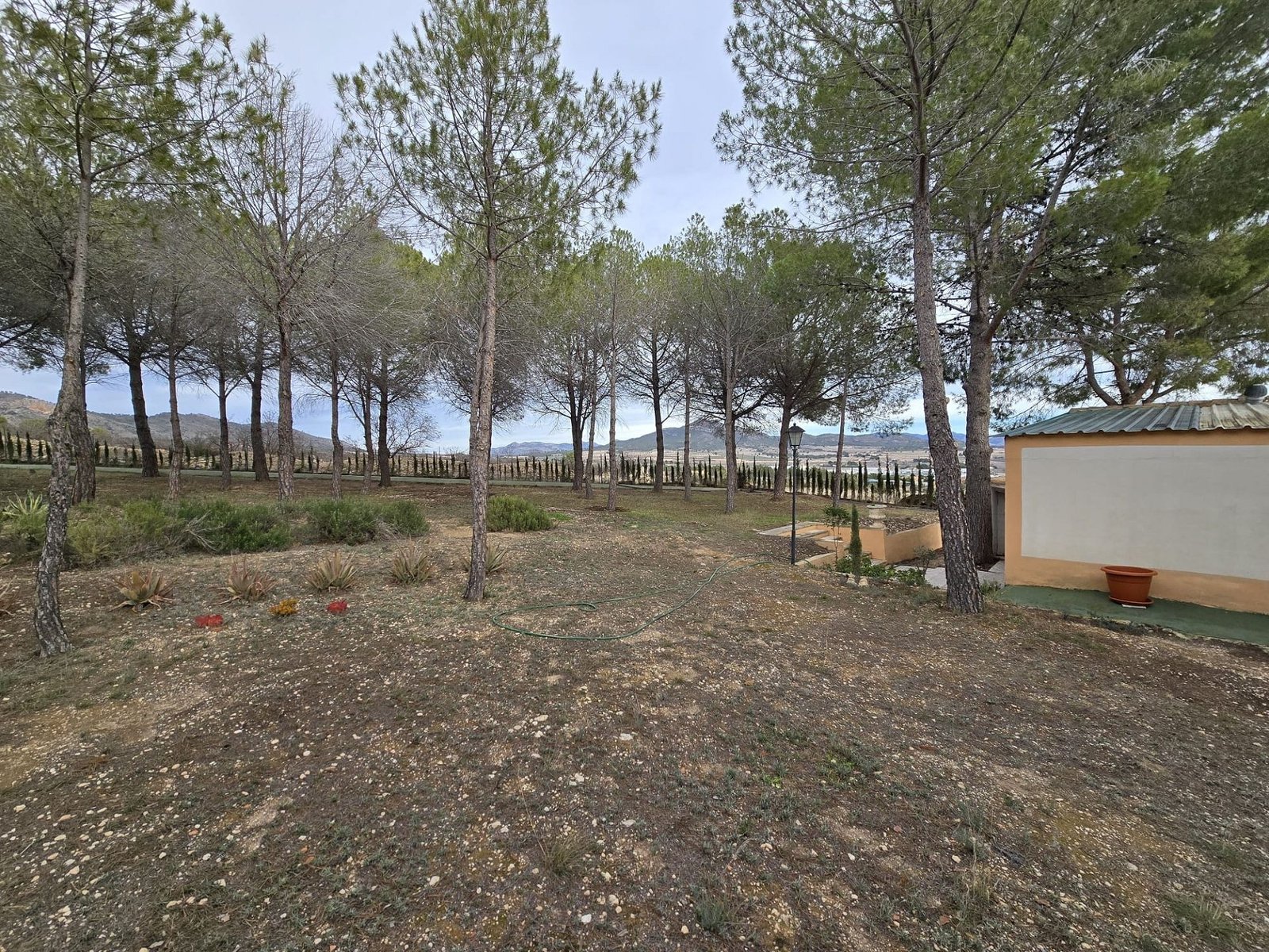 4 Bedroom 4 Bathroom Country house in Salinas - Caza De Casa