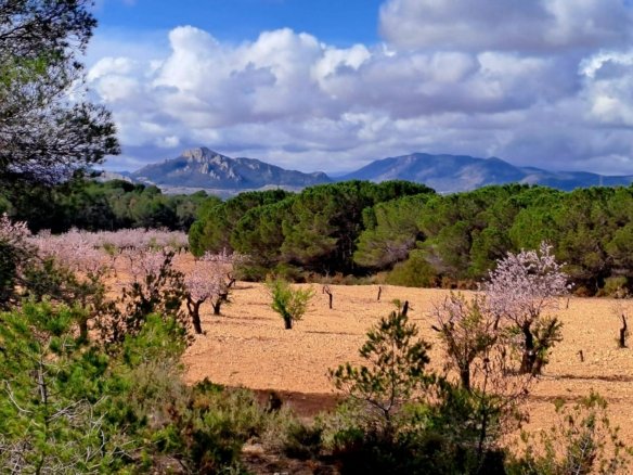 6 Bedroom 4 Bathroom Country house in Sax - Caza De Casa