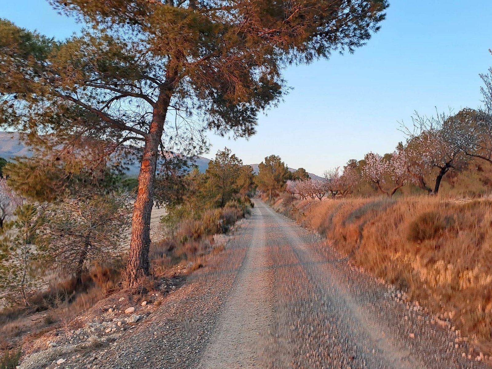 6 Bedroom 4 Bathroom Country house in Sax - Caza De Casa
