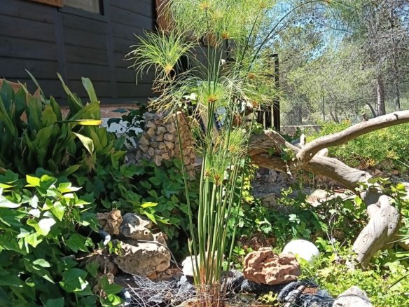 6 Bedroom 4 Bathroom Country house in Sax - Caza De Casa
