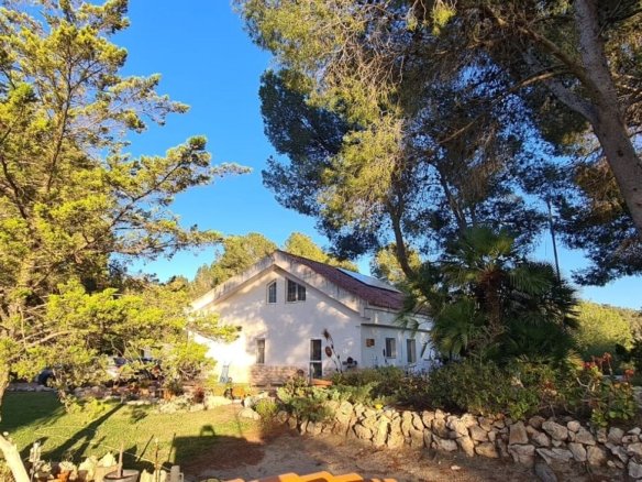 6 Bedroom 4 Bathroom Country house in Sax - Caza De Casa