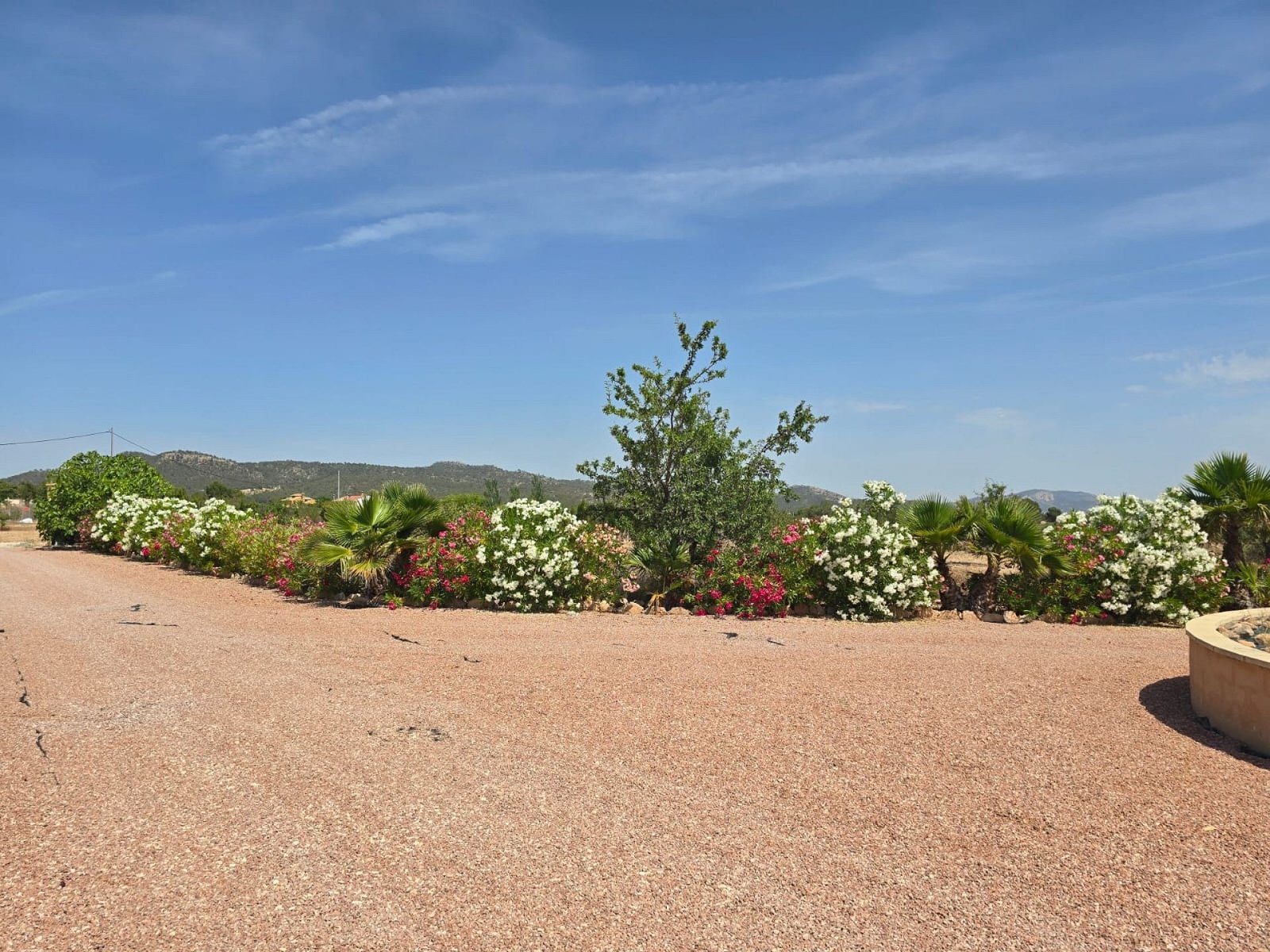 4 Bedroom 3 Bathroom Detached Villa in Monovar - Caza De Casa