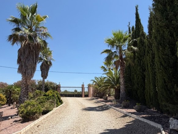 6 Bedroom 5 Bathroom Detached Villa in Salinas - Caza De Casa