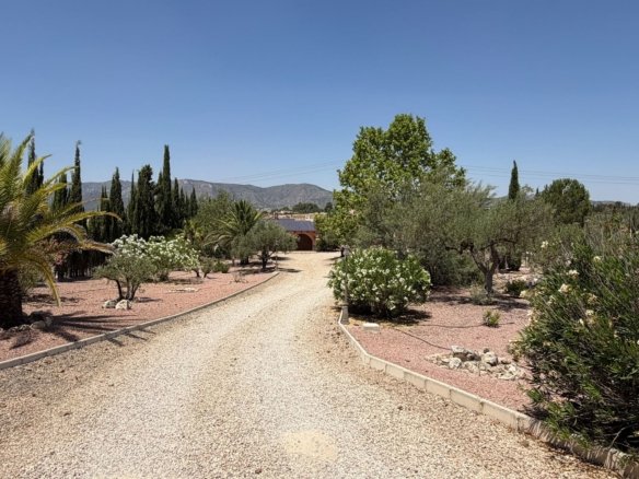 6 Bedroom 5 Bathroom Detached Villa in Salinas - Caza De Casa