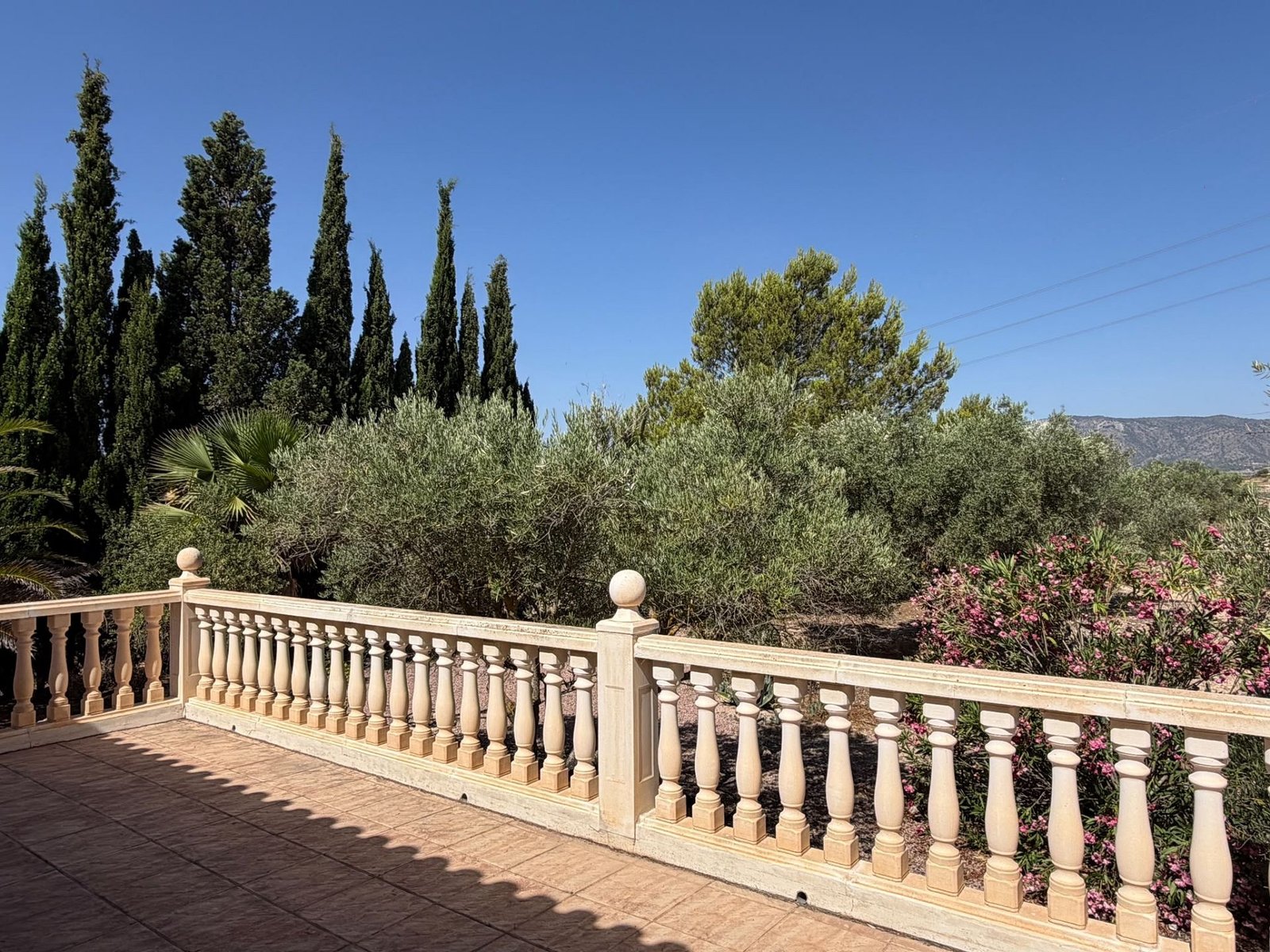 6 Bedroom 5 Bathroom Detached Villa in Salinas - Caza De Casa